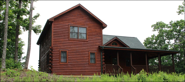 Professional Log Home Borate Application  Cottonwood, Alabama